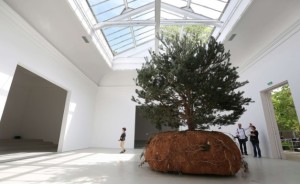 Céleste Boursier-Mougenot